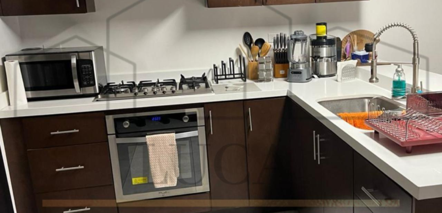 Departamento en Renta Kyo