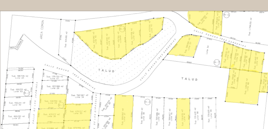 Desarrollo Rancho Tres Gardenias