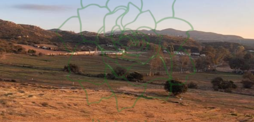 Desarrollo Rancho Tres Gardenias