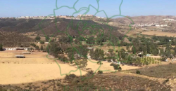 Desarrollo Rancho Tres Gardenias