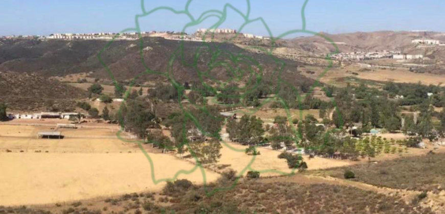 Desarrollo Rancho Tres Gardenias